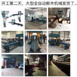 2017年發貨國內250型原木斷木機生產線&nbsp;圓木截木機，鋸木機生